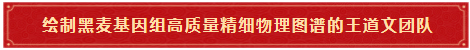 7绘制黑麦基因组高质量精细物理图谱画出粮食作物抗逆改良“导航图”的王道文团队 7绘制黑麦基因组高质量精细物理图谱画出粮食作物抗逆改良“导航图”的王道文团队