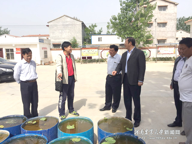 党委书记程传兴赴扶沟县冯老村指导精准扶贫工作