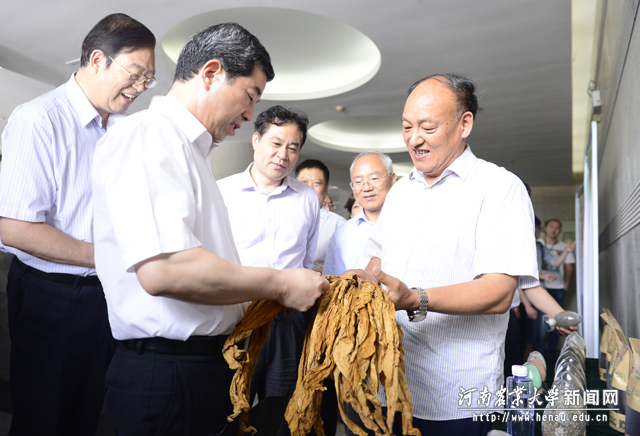 陈润儿查看烟叶新品种