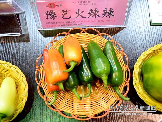 尝了这个小辣椒,才知道火辣一词怎么来! 副本 尝了这个小辣椒,才知道火辣一词怎么来! 副本