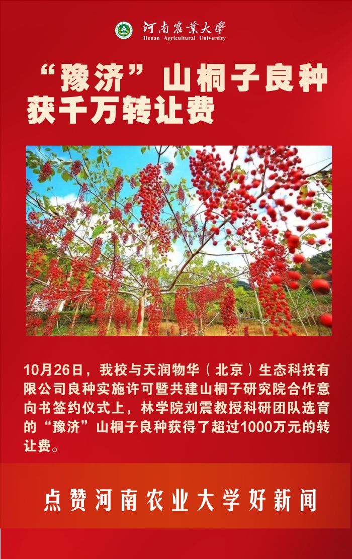 13 山桐子 13 山桐子