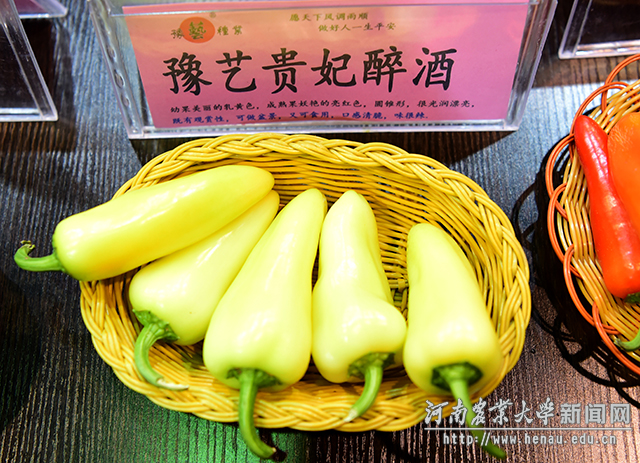 这酒不辣吗? 副本 这酒不辣吗? 副本
