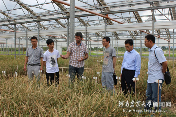 考察团在IRRI实验基地参观2 考察团在IRRI实验基地参观2