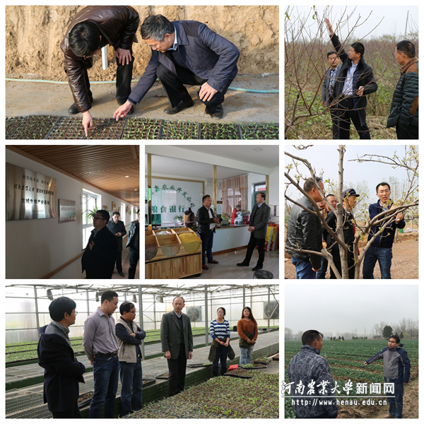 新农村发展研究院基地服务行动 新农村发展研究院基地服务行动