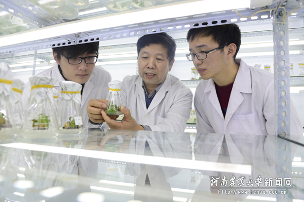 范国强教授指导研究生开展实验 范国强教授指导研究生开展实验