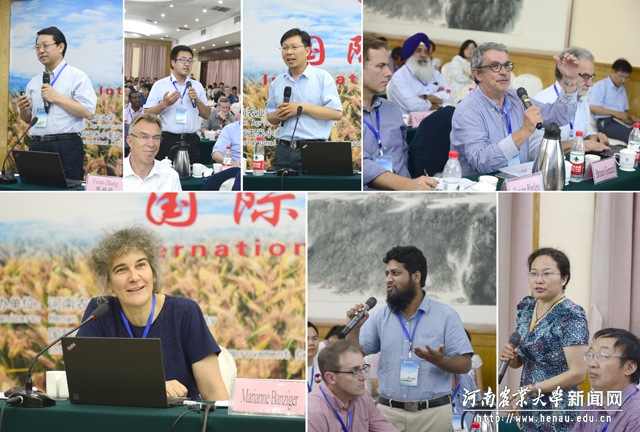 与会专家学者围绕会议主题进行深入研讨