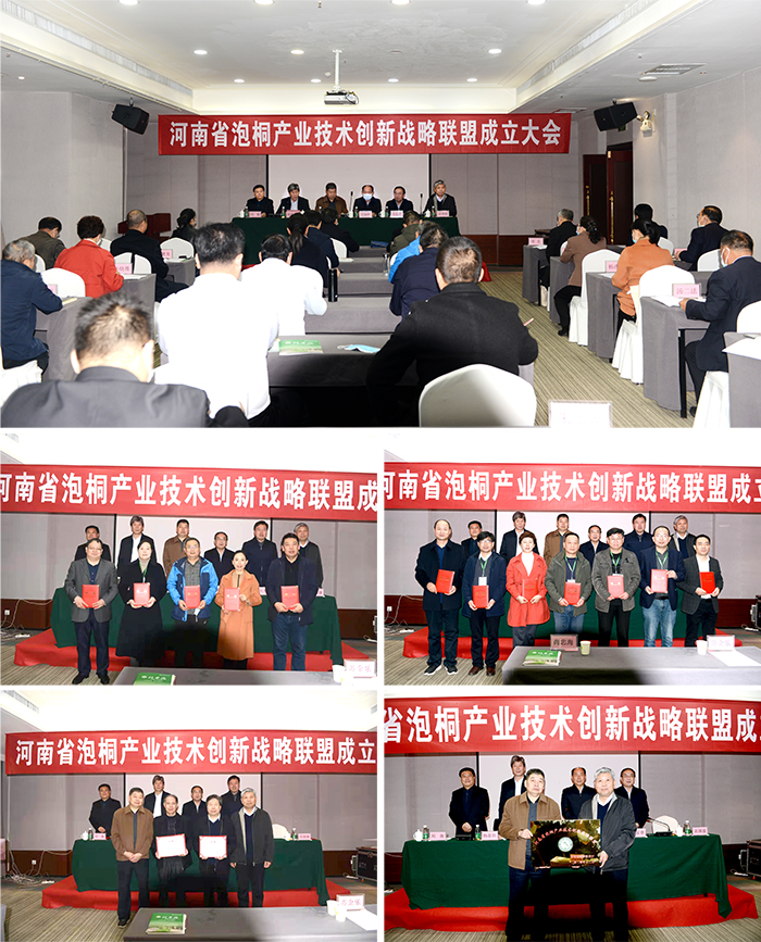 大会照片11