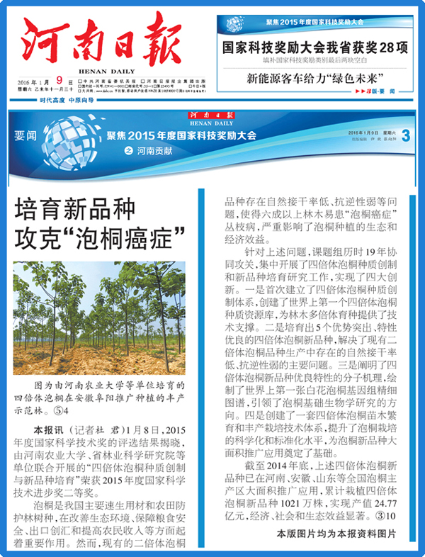 《河南日报》：培育新品种 攻克“泡桐癌症”