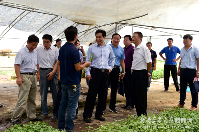 张改平一行来到扶沟蔬菜基地调研考察