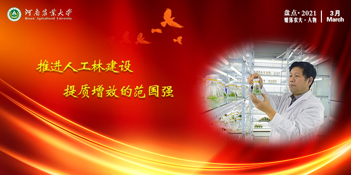 8 3月推进人工林建设提质增效的范国强 8 3月推进人工林建设提质增效的范国强