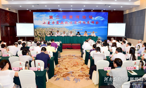 “黄河论坛”会议现场