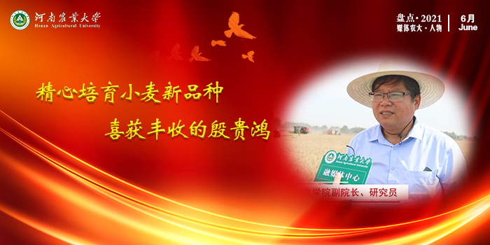 10 精心培育小麦新品种喜获丰收的殷贵鸿 10 精心培育小麦新品种喜获丰收的殷贵鸿