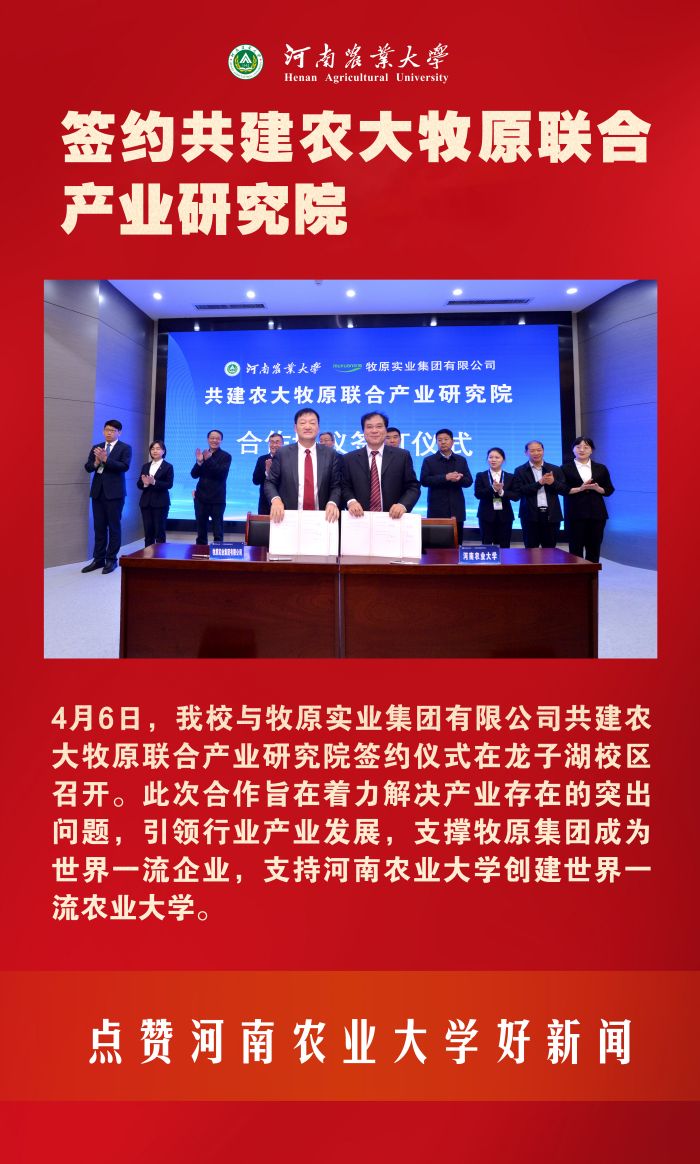 19 牧原产业研究院 19 牧原产业研究院