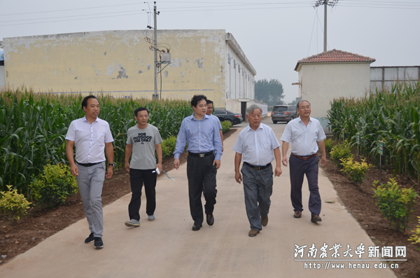 查看河南粮食作物协同创新中心现代农业试验区建设情况 查看河南粮食作物协同创新中心现代农业试验区建设情况