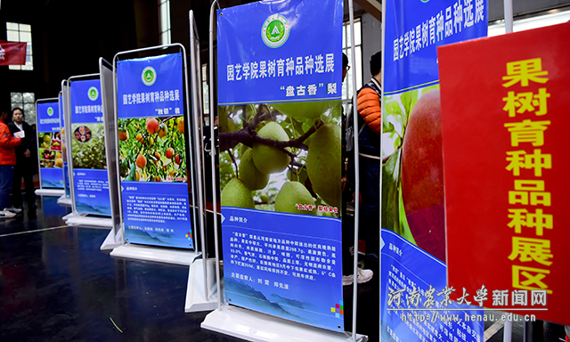优质水果品种展示区 副本 优质水果品种展示区 副本