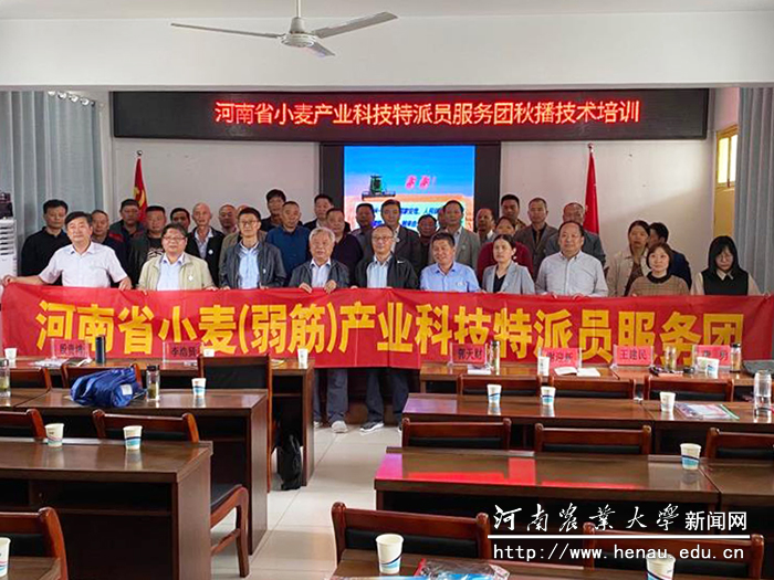 培训会现场 培训会现场