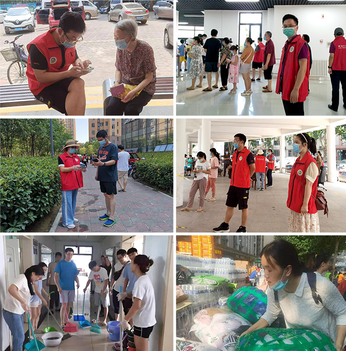 生命科学学院拼图二 生命科学学院拼图二