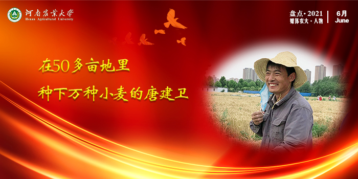 11 在50多亩地里种下万种小麦的唐建卫(1) 11 在50多亩地里种下万种小麦的唐建卫(1)