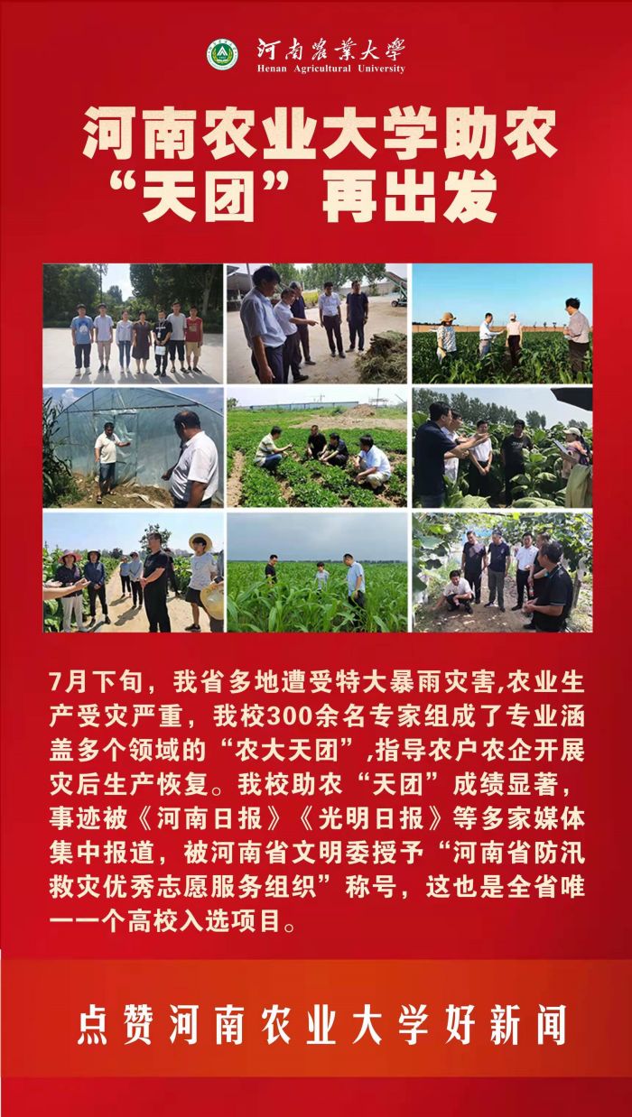 15 助农天团 15 助农天团