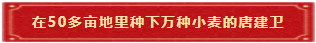 12 在50多亩地里种下万种小麦的唐建卫 12 在50多亩地里种下万种小麦的唐建卫