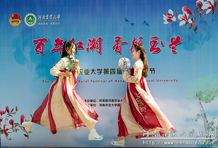 玉兰1 玉兰1