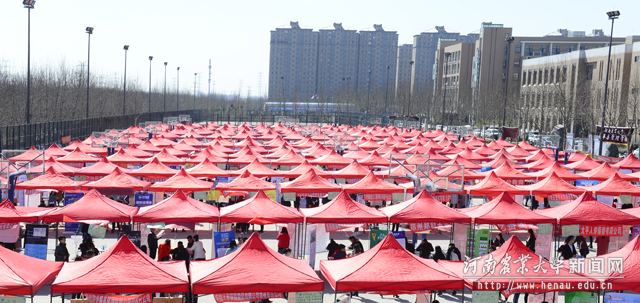 龙子湖校区招聘会现场 龙子湖校区招聘会现场