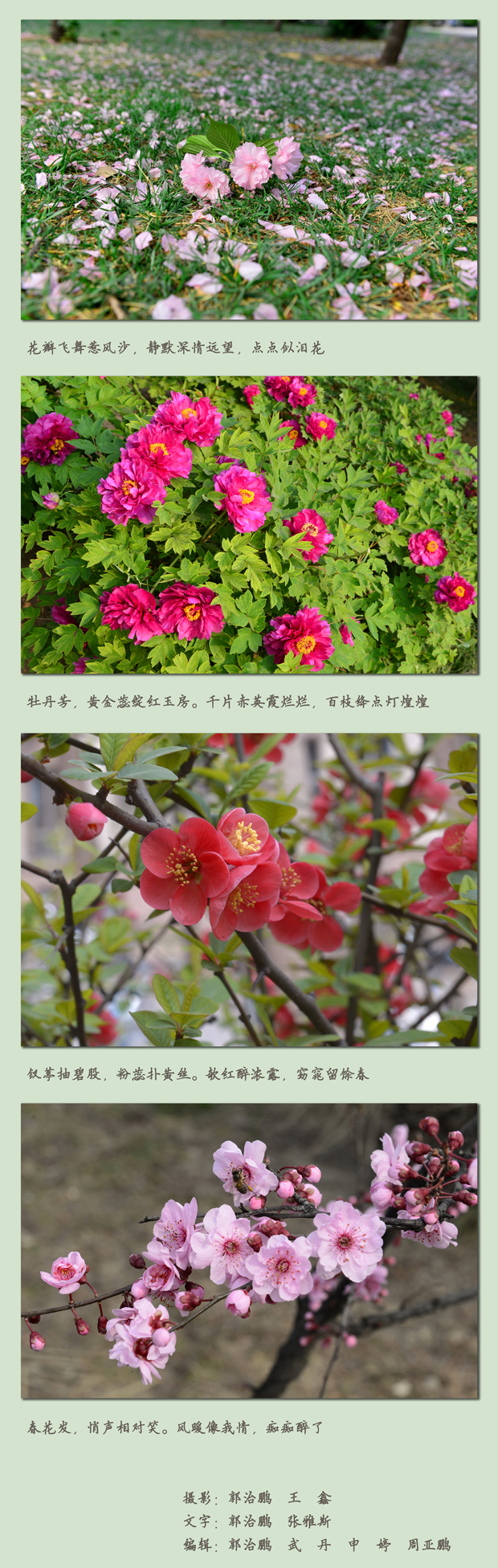 如约而来，她在百年农大等你3