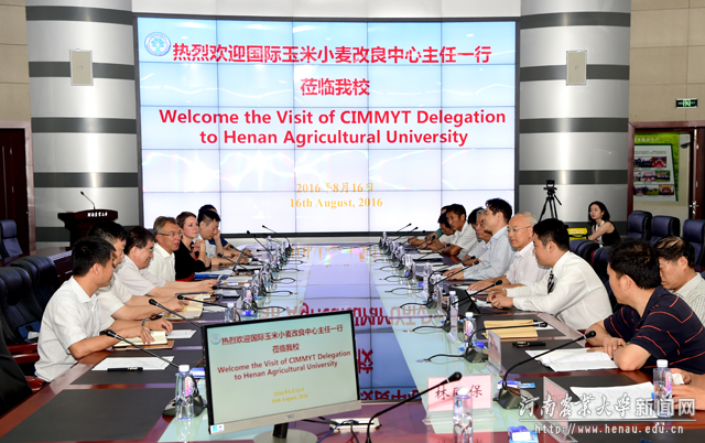 8月16日下午,马丁一行和安博官方网站校长张改平等在中原农村信息港举行会谈 8月16日下午,马丁一行和安博官方网站校长张改平等在中原农村信息港举行会谈