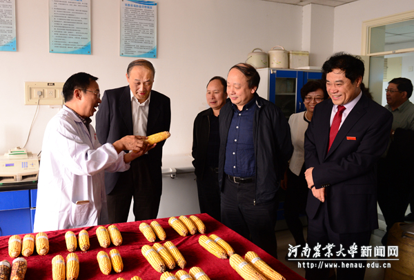 国家自然科学基金委员会主任杨卫院士考察国家玉米改良中心(郑州)分中心 国家自然科学基金委员会主任杨卫院士考察国家玉米改良中心(郑州)分中心