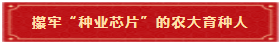 13 攥牢“种业芯片”的农大育种人 13 攥牢“种业芯片”的农大育种人