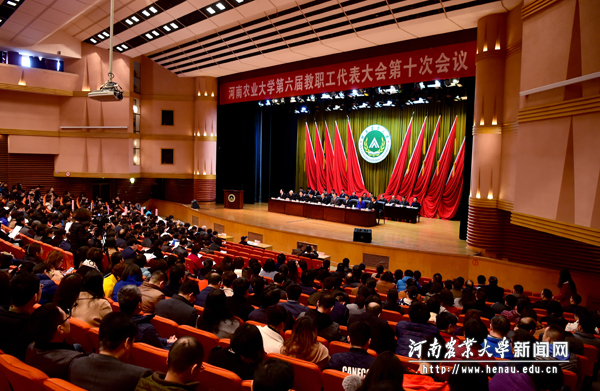 六届十次教代会第一次会议大会场 六届十次教代会第一次会议大会场