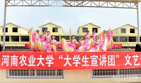 3.大学生宣讲团在确山县普会寺乡演出