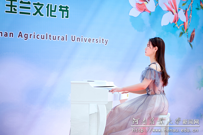玉兰2 玉兰2