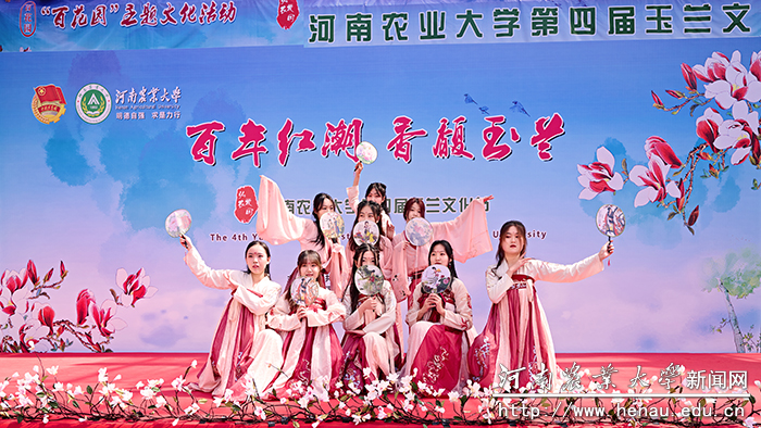 玉兰4 玉兰4