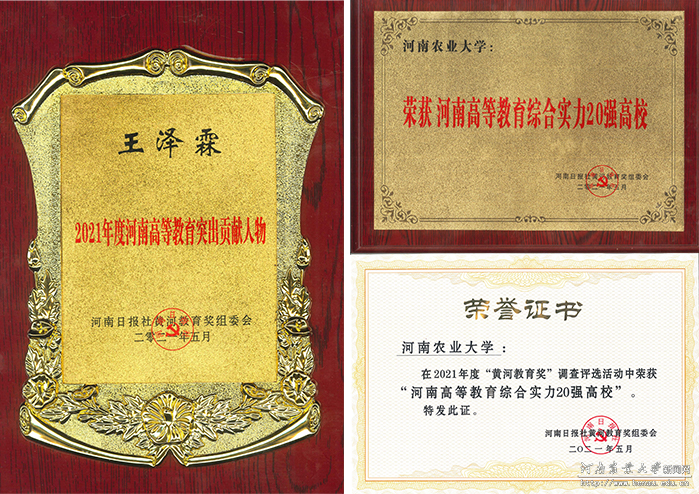 王泽霖荣誉证书 王泽霖荣誉证书