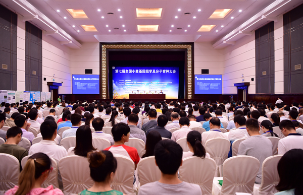 5、8月7日至9日,由我校承办的第七届全国小麦基因组学及分子育种大会在郑州召开。 5、8月7日至9日,由我校承办的第七届全国小麦基因组学及分子育种大会在郑州召开。