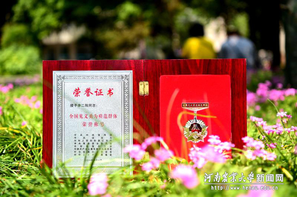 李二阳获奖证书