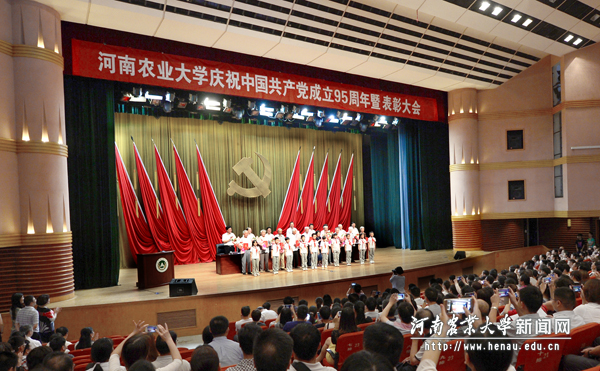 安博官方网站庆祝中国共产党成立95周年暨表彰大会