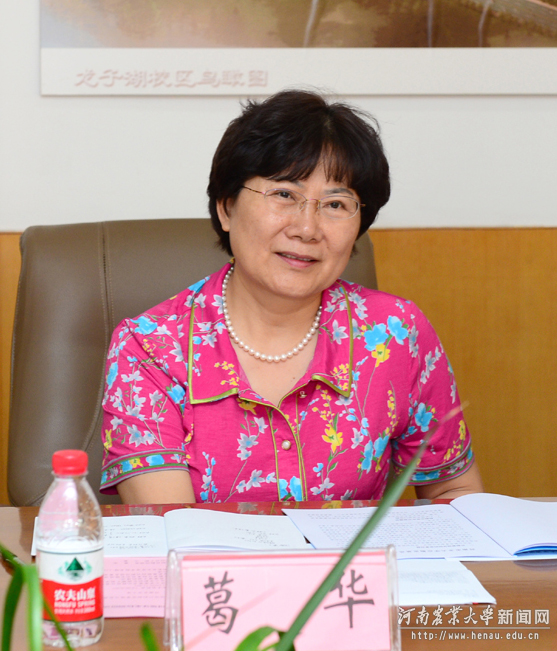教育部发展规划司副巡视员葛华讲话