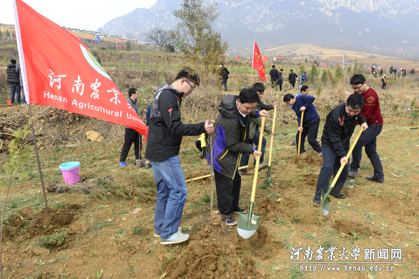 校党委副书记、工会主席褚金海与教职工一起培土植树,绿化荒山 校党委副书记、工会主席褚金海与教职工一起培土植树,绿化荒山