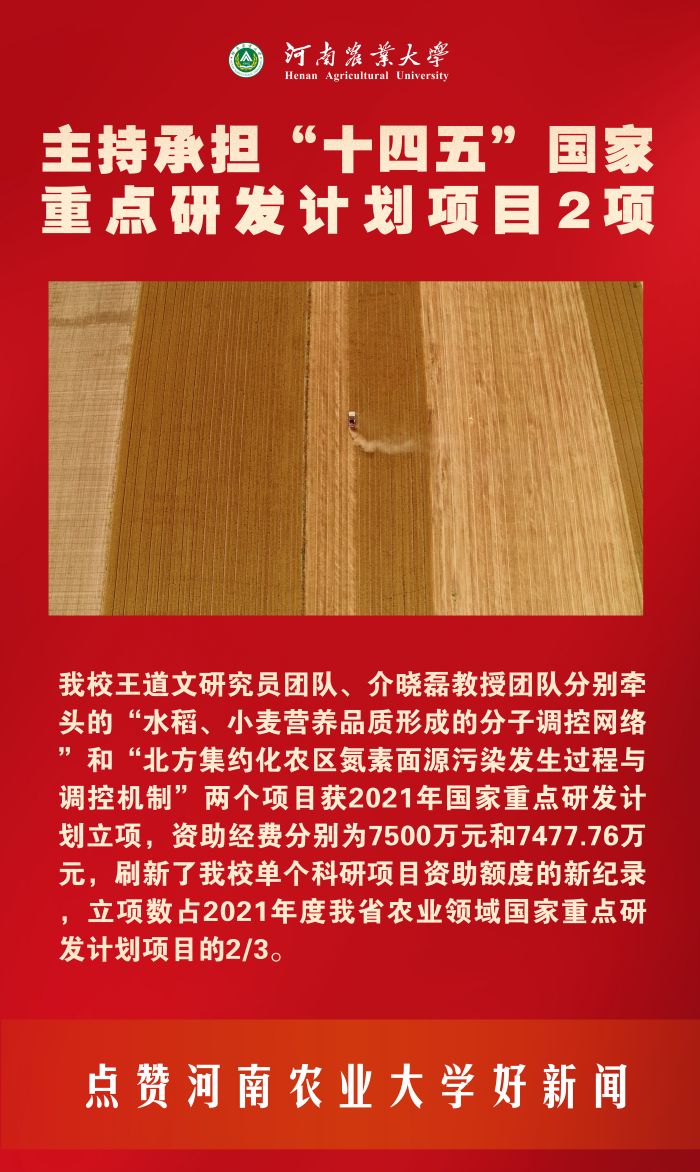 4 两个重点项目 4 两个重点项目