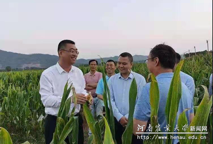 易鹏书记一行现场查看我校南繁基地试验农田 易鹏书记一行现场查看我校南繁基地试验农田