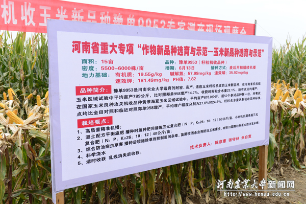 “豫单9953”品种及栽培主要数据 “豫单9953”品种及栽培主要数据