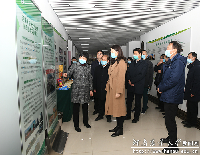 副省长霍金花一行听取专家汇报