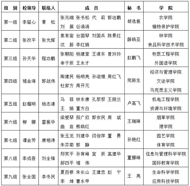 分组情况 分组情况