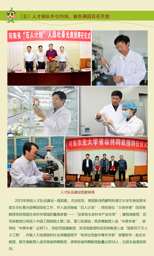 分享2015 