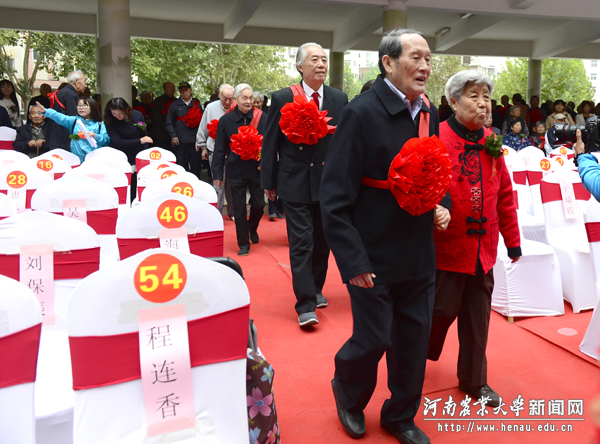 90对金婚老人手挽手、肩并肩走过红毯 90对金婚老人手挽手、肩并肩走过红毯