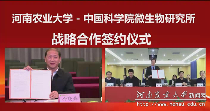 线上云签约 线上云签约