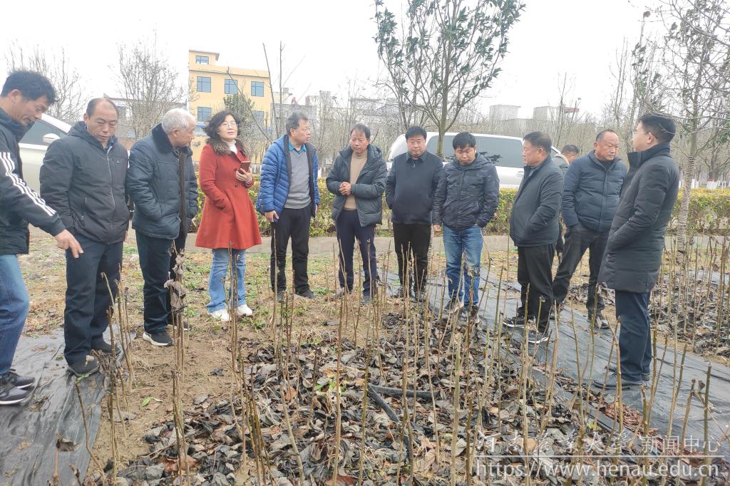 图9 刘震教授等在镇平县苗圃场就山桐子栽培技术做现场讲解.jpg 图9 刘震教授等在镇平县苗圃场就山桐子栽培技术做现场讲解.jpg