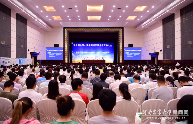 小麦分子遗传大会 小麦分子遗传大会